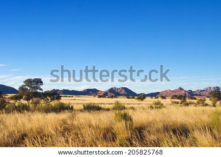 African savanna landscape, Namibia, South Africa 