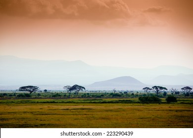African savannah in evening light