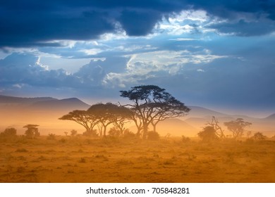 African Savannah. The foot of Mount Kilimanjaro.