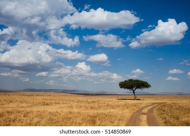 African Savannah Landscape Stock Photo 514850869 | Shutterstock