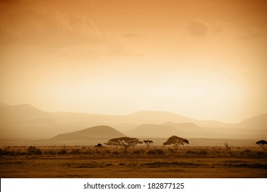 african savannah at sunrise
