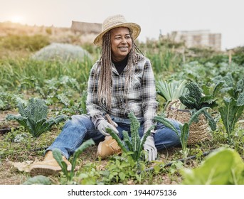 African Senior Woman Gardening - Happy Black Person Enjoy The Harvest Period