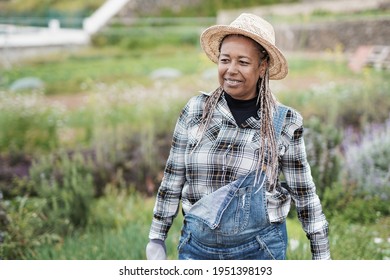 African Senior Woman Gardening - Happy Black Person Enjoy The Harvest Period At Farm