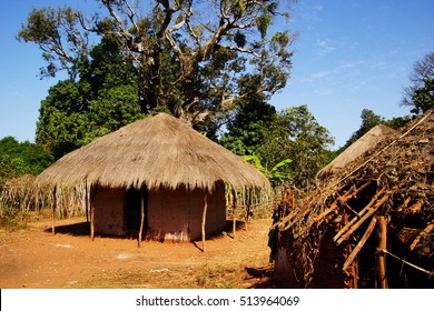 African Straw Hut  In Rain Forest In Gambia, West Africa                    