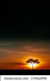 African Sunrise