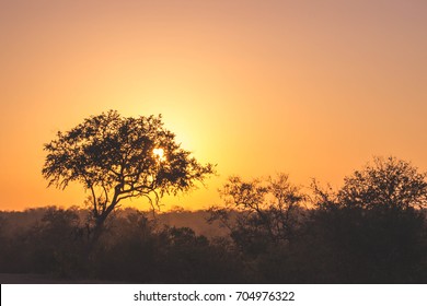 African Sunrise