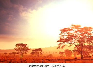 African Sunrise Landscape