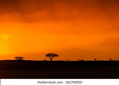 African sunset - Shutterstock ID 362743010
