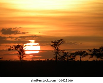 African Sunset