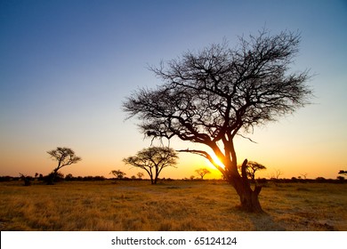 An African Sunset In Hwange National Park