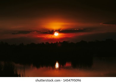 African Sunset At Marievale Bird Sanctuary