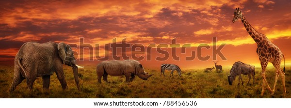 African sunset panoramic background with silhouette of the animals in the wilderness.