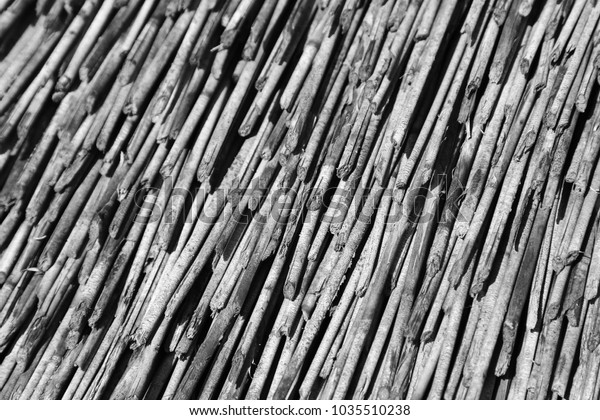 African Thatch Background Texture Image This Stock Photo 1035510238