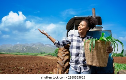 African woman Agriculture Farmer examining corn plant in field. Agricultural activity at cultivated land. Woman agronomist inspecting maize seedling.Expert inspect plant quality in green field rural. - Powered by Shutterstock