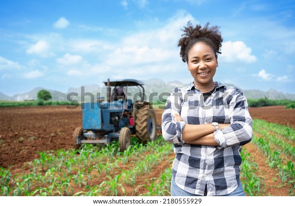 African woman Agriculture Farmer examining\
corn plant in field. Agricultural activity at cultivated land.\
Woman agronomist inspecting maize seedling.Expert inspect plant\
quality in green field\
rural.