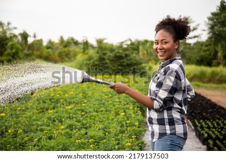 African woman gardener in gray shirts using hose in ornamental plant. Green stems grow out of the ground. Shapeless flowing green floral background. Care for the garden, agriculture.
