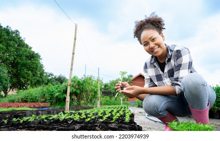 African woman holding a green seedling growing in soil. Anonymous female organic farmer protecting a young plant in her garden. Sustainable female farmer planting a sapling on her farm. - Powered by Shutterstock