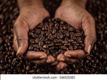 African woman's hands holding coffee beans.