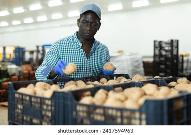 African-american man factory worker sorting fresh potatoes in vegetable warehouse. - Powered by Shutterstock