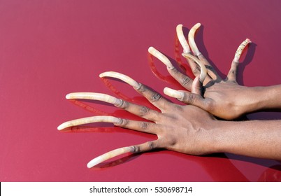 the longest fingers in the world