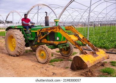 African-american worker farmer working on tractor in orangery - Powered by Shutterstock