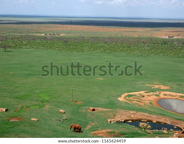 Afrika Tsavo Nationalpark Kenia Safari Landscape Stock Photo Edit Now
