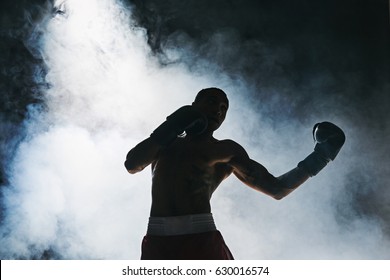 Afro American Male Boxer.