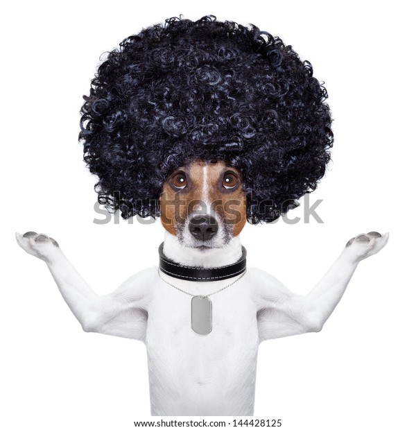 afro dog plush