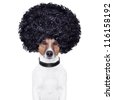 afro wig isolated