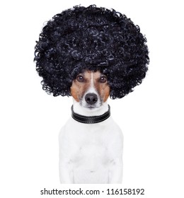 Afro Look Hair Dog Funny