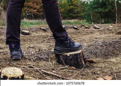 After deforestation, rows of stumps remained. In the middle of a lifeless space, strewn with dry twigs and needles, there is a man in dark pants and heavy working boots on lacing. Salf-confident pose.