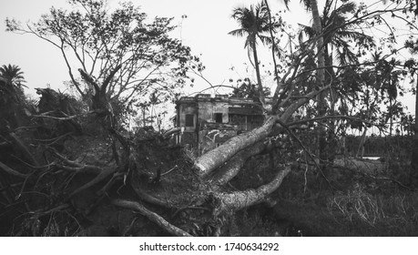 After Effect Of The Tropical Super Cyclone Amphan.