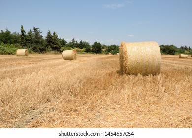 After Grain Harvest Dry Straw Separated Stock Photo 1454657054 