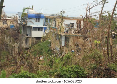 After Hurricane Maria 