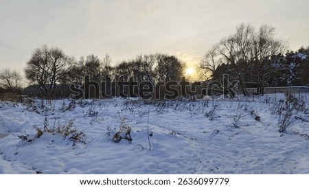 After the snowfall, everything is covered with snow. Pedestrians have trampled a path among the grass and snowdrifts. Nearby are trees and a metal fence. The winter sun at sunset shines