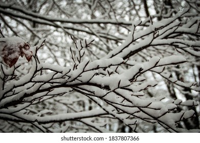 
as after a snowfall the snow settles and makes everything white and fascinating - Shutterstock ID 1837807366