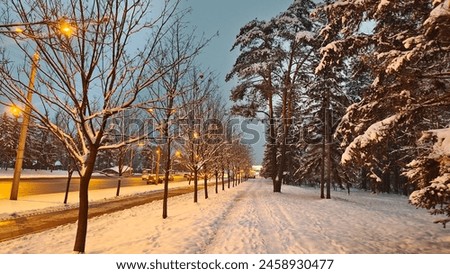 After the snowfall, there is snow on the streets and trees. The sidewalks and roadways have been cleared by public utilities. Cars with headlights are driving. Lights are burning on poles. Twilight