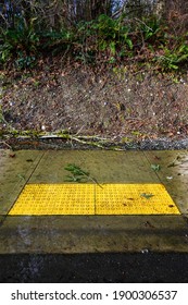 After The Storm, Floodwater And Storm Debris On A Sidewalk Disabled Curb Ramp On A Sunny Day
