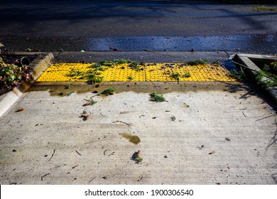 After The Storm, Floodwater And Storm Debris On A Sidewalk Disabled Curb Ramp On A Sunny Day
