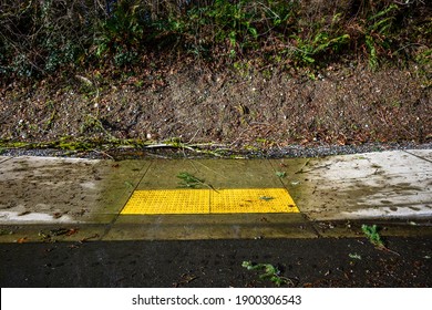 After The Storm, Floodwater And Storm Debris On A Sidewalk Disabled Curb Ramp On A Sunny Day
