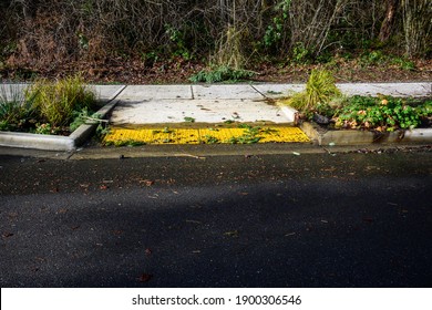 After The Storm, Floodwater And Storm Debris On A Sidewalk Disabled Curb Ramp On A Sunny Day
