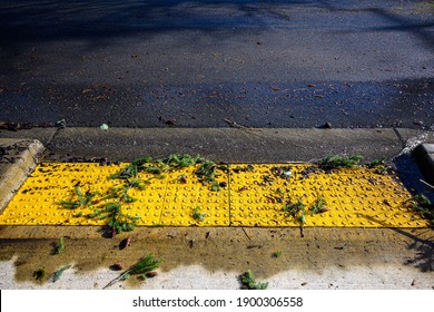 After The Storm, Floodwater And Storm Debris On A Sidewalk Disabled Curb Ramp On A Sunny Day
