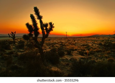 After Sunset In The Desert Of California