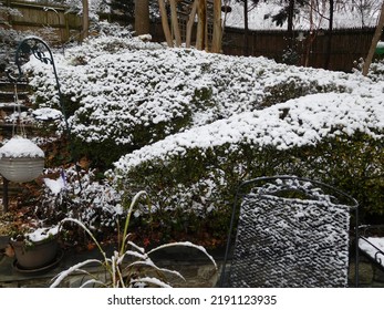 After The Winter Snow In Alexandria, VA