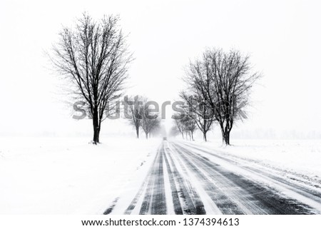 Similar – blow snow Landscape Winter