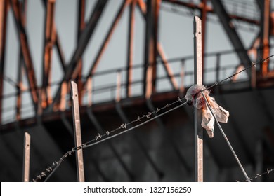 Aftermath Of The Escape Route Chosen By Political And War Refugees With Illegal Migrants From Africa And Syria. Tragedy, Global War And Economy Issues, Social Divergence, Wired Fences And Walls, Hope.