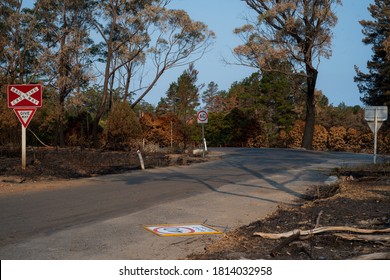 Aftermath Of Green Wattle Creek Bush Fire South West Of Sydney, Australia