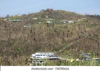 Aftermath Of Hurricane Maria On The Mountains Of The Island Of Puerto Rico