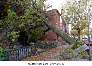Aftermath Of Hurricane Sandy 2012 NYC: Flooded Tunnels, Damaged Steeples, Uprooted Trees In Manhattan And Brooklyn