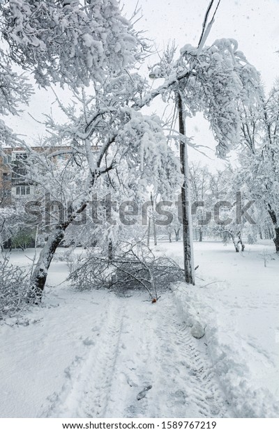 aftermath of an ice storm in\
winter.